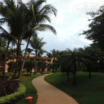 фото из отзыва ID 1453112