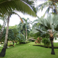 фото из отзыва ID 1453112