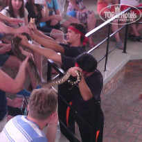 фото из отзыва ID 1453209