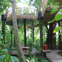 фото из отзыва ID 1453296