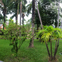 фото из отзыва ID 1453312