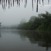 фото из отзыва ID 1453334