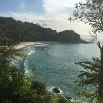 фото из отзыва ID 1453369