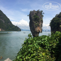 фото из отзыва ID 1453369