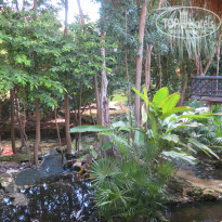 фото из отзыва ID 1453428