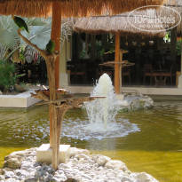 фото из отзыва ID 1453428