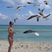 фото из отзыва ID 1453428