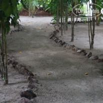 фото из отзыва ID 1453431