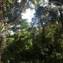 фото из отзыва ID 1453454