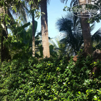 фото из отзыва ID 1453454