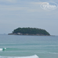 фото из отзыва ID 1453530