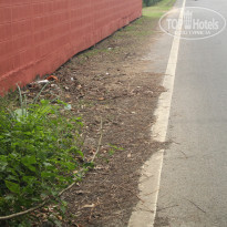 фото из отзыва ID 1453574