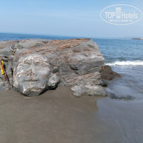 фото из отзыва ID 1453701