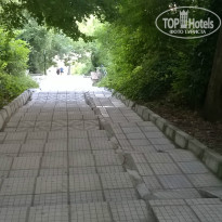 фото из отзыва ID 1453728