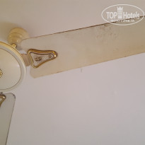 фото из отзыва ID 1453760