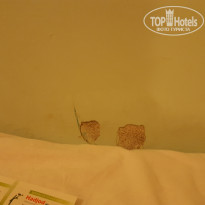 фото из отзыва ID 1453760