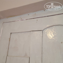 фото из отзыва ID 1453760