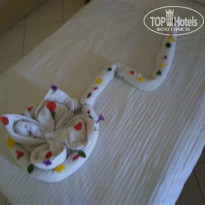 фото из отзыва ID 1453916