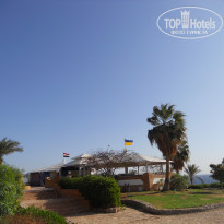 фото из отзыва ID 1453916