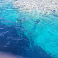 фото из отзыва ID 1452981