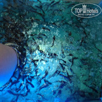 фото из отзыва ID 1454032