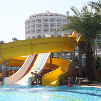 фото из отзыва ID 1454049