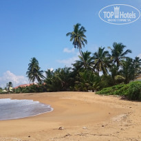 фото из отзыва ID 1454119