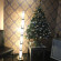 Famosa Hotel 
