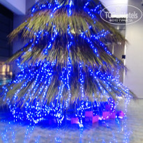 фото из отзыва ID 1454301