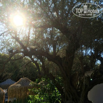 фото из отзыва ID 1454227