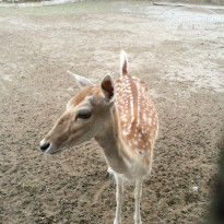 фото из отзыва ID 1454227