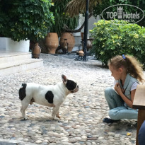 фото из отзыва ID 1454227