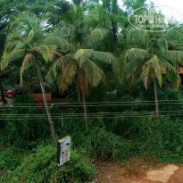 фото из отзыва ID 1454309