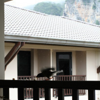 фото из отзыва ID 1453963