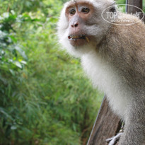 фото из отзыва ID 1453963