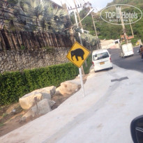 фото из отзыва ID 1454566