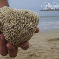 фото из отзыва ID 1454607