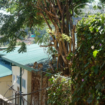 фото из отзыва ID 1454625