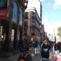 фото из отзыва ID 1454664