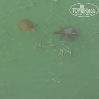 фото из отзыва ID 1454726