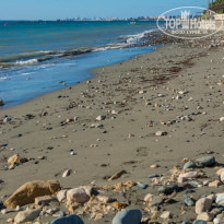 фото из отзыва ID 1454808