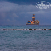 фото из отзыва ID 1454808