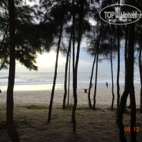 фото из отзыва ID 1454879