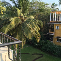 фото из отзыва ID 1454908