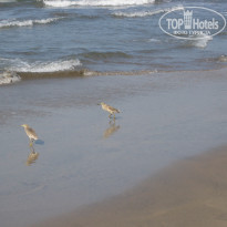 фото из отзыва ID 1454909