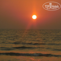 фото из отзыва ID 1454943