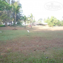 фото из отзыва ID 1454943