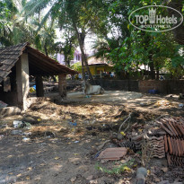 фото из отзыва ID 1454943