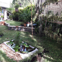 фото из отзыва ID 1455006