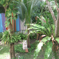 фото из отзыва ID 1455006